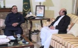 کراچی : صدر اور وزیراعلی سندھ اور رحمان ملک کی ملاقات