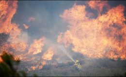 امریکی : کیلیفورنیا میں آتشزدگی، 30 ہزار ایکڑ کا رقبہ جل کر خاکستر