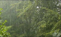 اسلام آباد میں بارش، خیبرپختونخوا اور پنجاب میں بھی بارش کا امکان