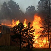 Colorado Forest Fire