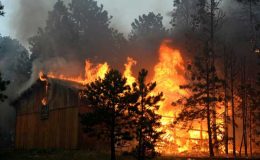 کولوراڈو کے جنگل میں آگ، 100 گھر جل گئے