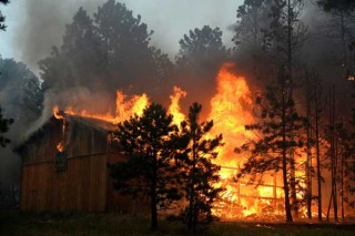 Colorado Forest Fire
