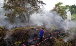 انڈونیشیا: سماٹرا میں دو دن سے لگی آگ پر قابو پا لیا گیا