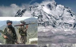 نانگا پربت دہشت گردی ،37 مشتبہ افراد حراست میں لے لیا گیا