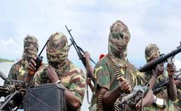 نائیجیریا میں بوکو حرام کا حملہ، 13 افراد ہلاک
