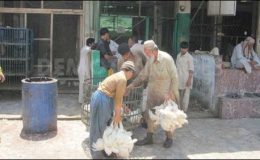 پشاور میں مرغی کا گوشت ریکارڈ 174 روپے فی کلو پر جا پہنچا
