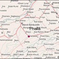 Phalia