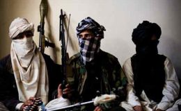 طالبان سے مذاکرات کیلئے تعاون کریں گے : قبائلی عمائدین