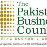 The Pakistan Business