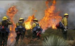 امریکی جنگلات میں آتشزدگی، سیکڑوں افراد محفوظ مقامات پر منتقل