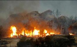 ایریزونا کے جنگلات میں آگ، 19 فائرفائٹرز جھلس کر ہلاک