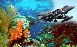میلبرون: امریکی لڑاکا طیاروں نیغلطی سے آسٹریلیا میں بم گرادئیے