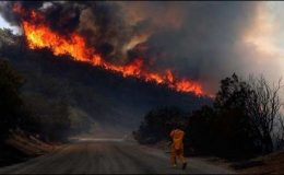 کیلفورنیا کے پہاڑی جنگلات میں لگنے والی آگ پھیل گئی