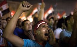 مصر : مرسی حکومت کا سال پورا ہونے پر ریلیاں،جھڑپوں میں 2 افراد ہلاک