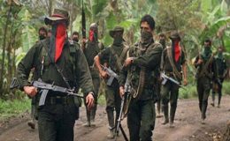 بگوٹا : کولمبیا میں باغیوں نے امن فوج کے اہلکار کو رہا کر دیا