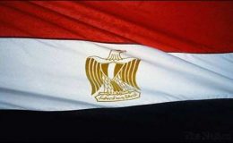 مصری عبوری حکومت کا خارجہ تعلقات مستحکم بنانے کا اظہار