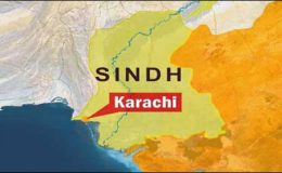 کراچی : پنجاب کالونی میں ایک شخص نے خاتون پر تیزاب پھینک دیا