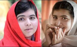 ملالہ کی سالگرہ ، اقوام متحدہ کا ملالہ ڈے کے طور پر منانے کا اعلان