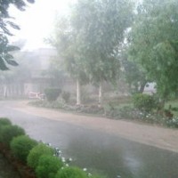 Monsoon Rains