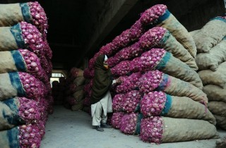 Onion Market