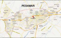 پشاور : مقتول پولیس اہلکاروں کی نمازجنازہ، کمشنر سمیت اعلی حکام شریک