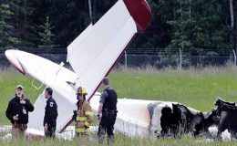الاسکا میں طیارہ گر کر تباہ، 10 افراد ہلاک