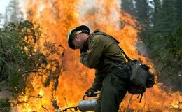 امریکی ریاست ایریزونا میں آگ بجھاتے 19 فائر فائٹر ہلاک