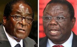 زمبابوے میں آج عام انتخابات ہونگے،صدر موگابے اور مورگن مد مقابل