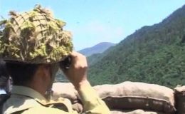 جنگی جنون، بھارتی فوج کی بلا اشتعال کارروائیاں جاری