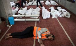 عوام کا قتل عام، یورپی یونین کا مصر کے ساتھ تعلقات پر نظر ثانی کا انتباہ