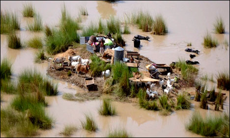بلوچستان اور پنجاب میں سیلابی پانی تو کم ہو گیا، متاثرین کی مشکلات برقرار