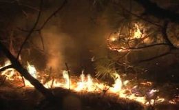 امریکی ریاست کیلیفورنیا کے جنگلات میں لگی آگ بے قابو