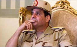 امریکا نے مصری عوام کو تنہا چھوڑ کر دیا، اخوان پر دباو بڑھائے، جنرل سیسی