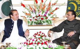 وزیرِاعظم نواز شریف اور صدر آصف علی زرداری کی ملاقات