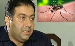 کراچی : ڈینگی اور ملیریا سے بچا کا اسپرے کیا جائے، اویس مظفر