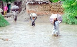 پشاور: موسلادھار طوفانی بارش سے چارسدہ روڈ تالاب میں تبدیل ہوگیا