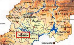 پشاور : وزیر باغ روڈ پر مسلح افراد کی فائرنگ، تین اہلکار زخمی