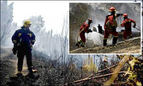 اسپین کے جنگلات میں آگ لگ گئی ، 500 افراد انڈسٹریل پارک منتقل
