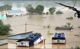 بھارتی پنجاب میں ستلج میں پانی کی سطح بلند، نشیبی علاقے زیرِ آب