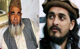 طالبان کی جاوید ابراہیم پراچہ سے رابطے کی تردید