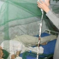 Lahore Dengue Virus