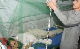 لاہور : مزید 6 افراد میں ڈینگی وائرس کی تصدیق، تعداد 71 ہوگئی