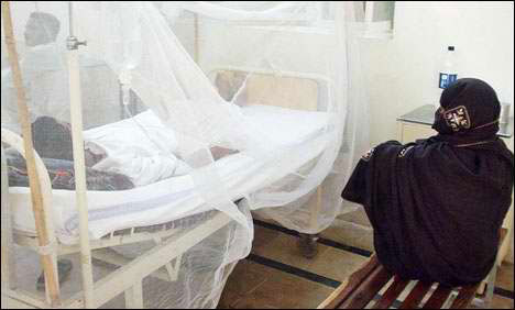 کراچی میں مزید 497 افراد میں ڈینگی وائرس کی تصدیق