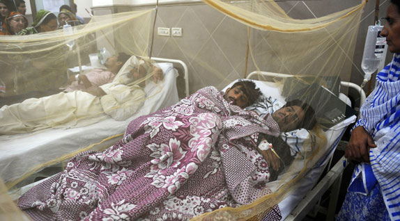 پنجاب میں ڈینگی کا زور نہ ٹوٹا، مزید 29 افراد شکار