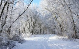 ملک بھر میں سردی کی شدت میں اضافہ