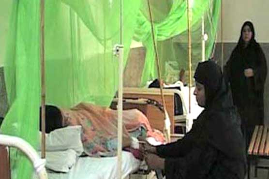 پنجاب: ڈینگی کے مریضوں کی تعداد میں اضافہ، مزید 28 افراد میں تشخیص