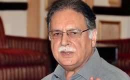 خان صاحب دہشت گردی کے ذمہ داروں کا نام لیتے ہوئے شرماتے ہیں: پرویز رشید