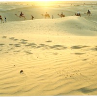Thar Desert