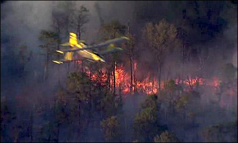 نیوجرسی: آبادی کے قریب جنگل میں آگ، 250 افراد محفوظ مقام پر منتقل