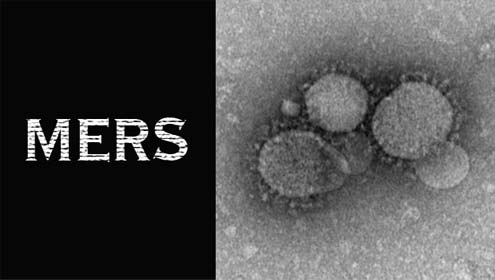 سعودی عرب میں مرس وائرس سے مزید پانچ افراد ہلاک